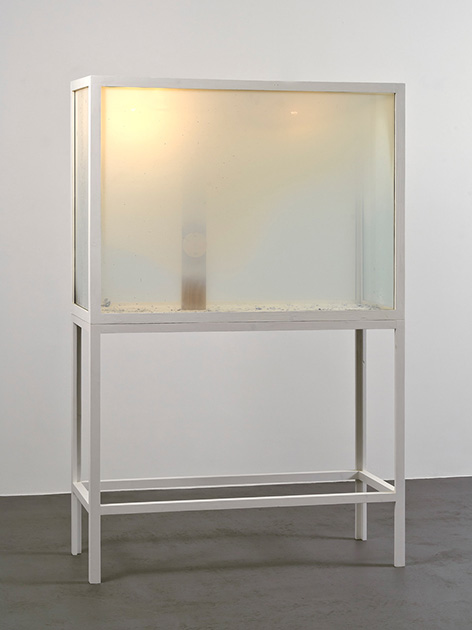 holzern Tisch, darauf ein Deckel dazu, ählich wie ein Terrarium, in weiß und Wände aus milchigem Glas